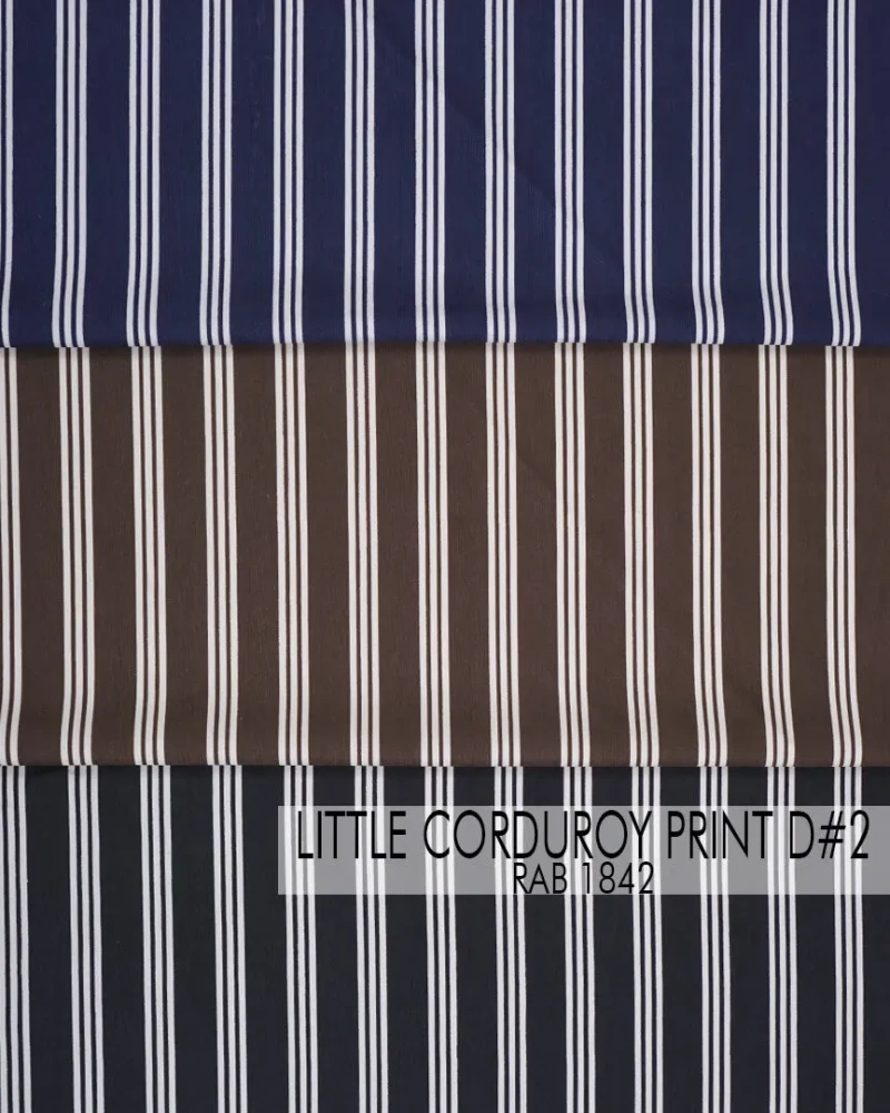 Little Corduroy Print D#2