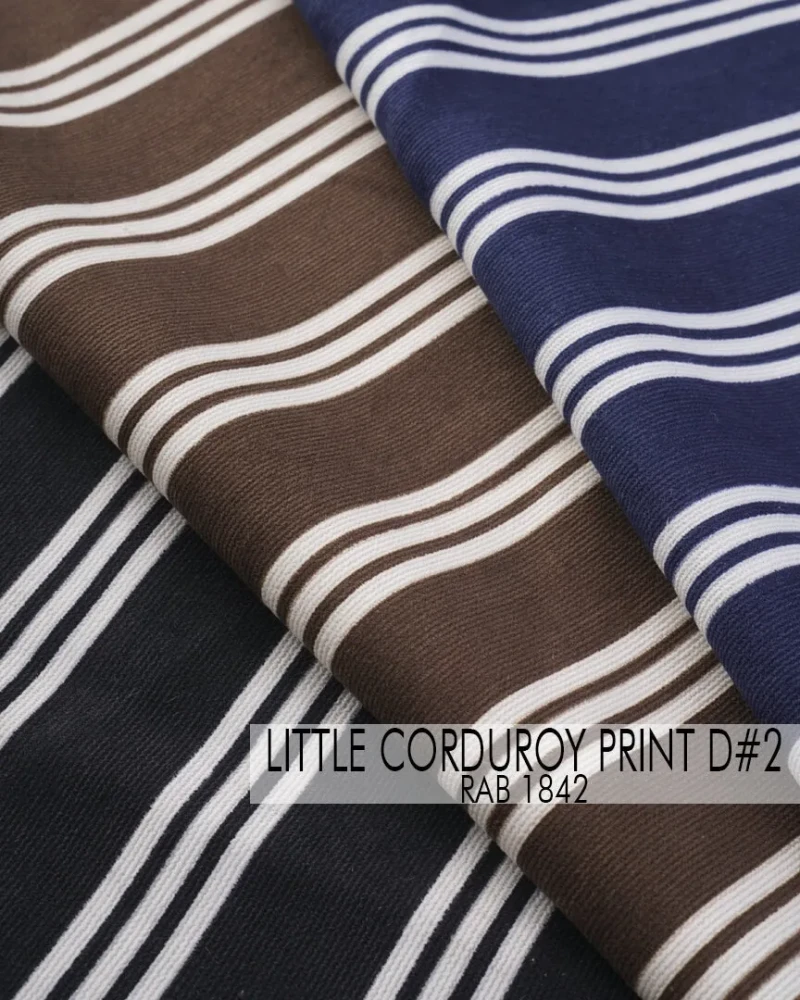 Little Corduroy Print D#2