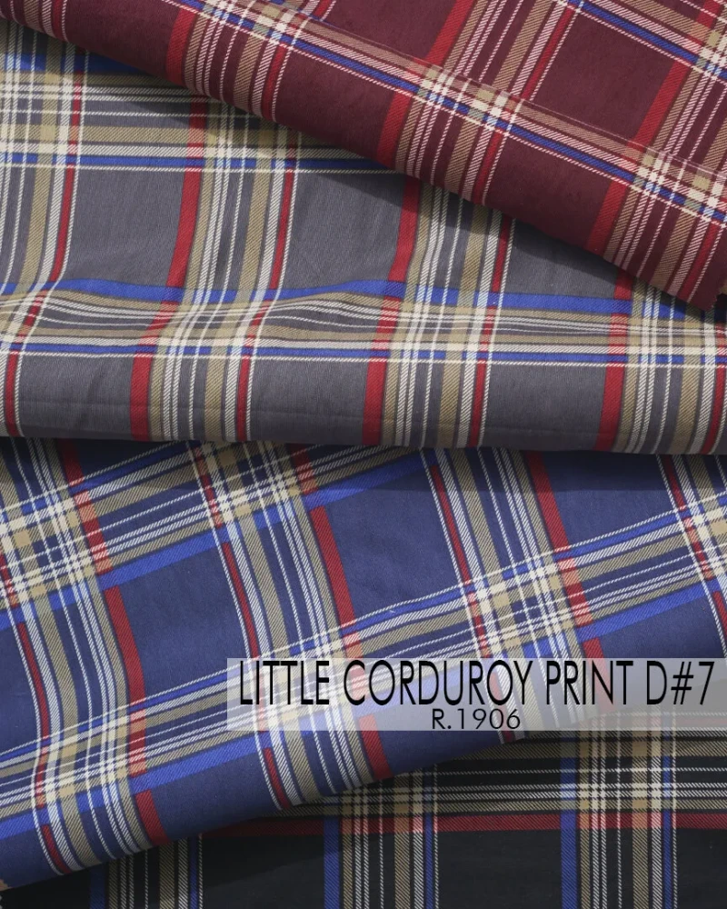 Little Corduroy Print D#7